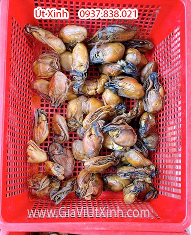 HÀU KHÔ (SIZE CỰC ĐẠI) 1KG - HÀU TƯƠI SẤY KHÔ - BIG DRY OYSTERS