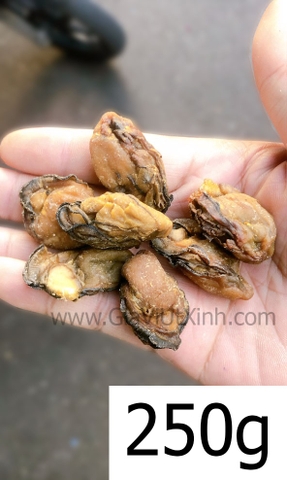 HÀU KHÔ (SIZE ĐẠI) 100G - 250G - 500G - HÀU TƯƠI SẤY KHÔ - DRY OYSTERS