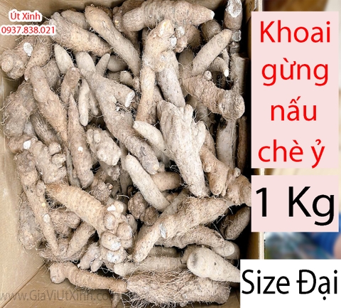 KHOAI GỪNG NẤU CHÈ Ỷ 1KG – CỦ KHOAI GỪNG SIZE TIỂU, TRUNG, ĐẠI – GINGER POTATO