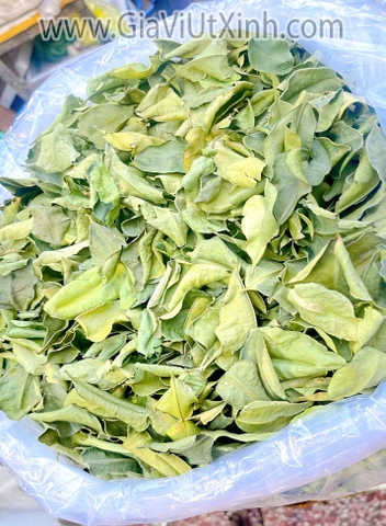 LÁ CHANH THÁI SẤY KHÔ 1KG - LÁ CHÚC SẤY KHÔ - DRIED KAFFIR LEAVES (NGUYÊN LÁ)