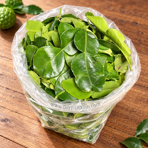LÁ CHANH THÁI TƯƠI (500G - 1KG) - LÁ CHÚC TƯƠI - KAFFIR LIME LEAVES (NGUYÊN LÁ)