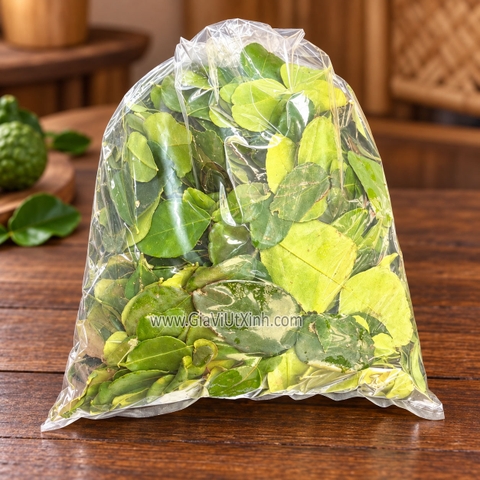 LÁ CHANH THÁI TƯƠI (500G - 1KG) - LÁ CHÚC TƯƠI - KAFFIR LIME LEAVES (NGUYÊN LÁ)