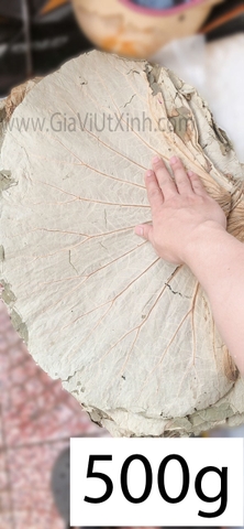 LÁ SEN KHÔ HỒNG KÔNG 100G - 250G - 500G - HONG KONG DRY LOTUS LEAF