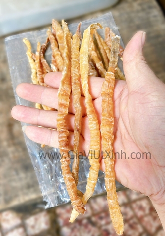 [MÃ X] SÁ SÙNG KHÔ 1KG - DRIED PEANUT WORM - NẤU PHỞ, CHÁO SIÊU NGỌT