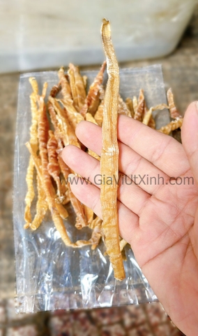 [MÃ X] SÁ SÙNG KHÔ 1KG - DRIED PEANUT WORM - NẤU PHỞ, CHÁO SIÊU NGỌT