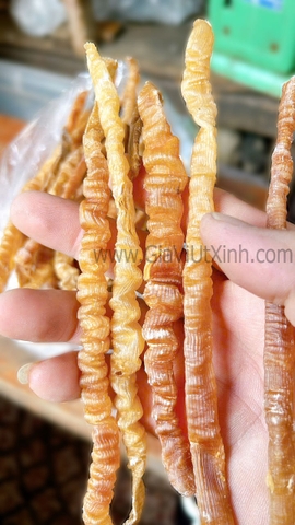 [MÃ Y] SÁ SÙNG KHÔ 1KG - DRIED PEANUT WORM, NẤU PHỞ, CHÁO NGỌT THƠM