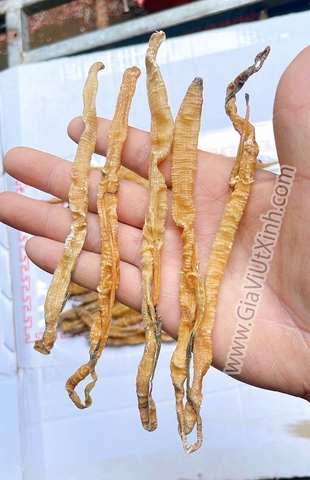 [MÃ Z] SÁ SÙNG KHÔ 1KG- DRIED PEANUT WORM- NẤU NƯỚC LÈO, PHỞ, CHÁO