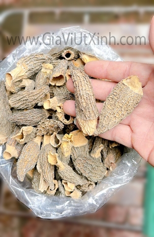 NẤM BỤNG DÊ (NẤM QUÝ) 1 KG - MOREL MUSHROOM