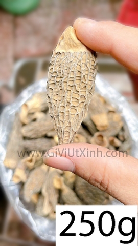 NẤM BỤNG DÊ (NẤM QUÝ) 100G- 250G- 500G - MOREL MUSHROOM