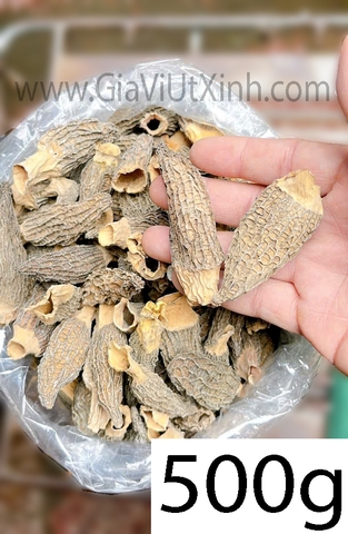 NẤM BỤNG DÊ (NẤM QUÝ) 100G- 250G- 500G - MOREL MUSHROOM