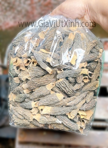 NẤM BỤNG DÊ (NẤM QUÝ) 100G- 250G- 500G - MOREL MUSHROOM