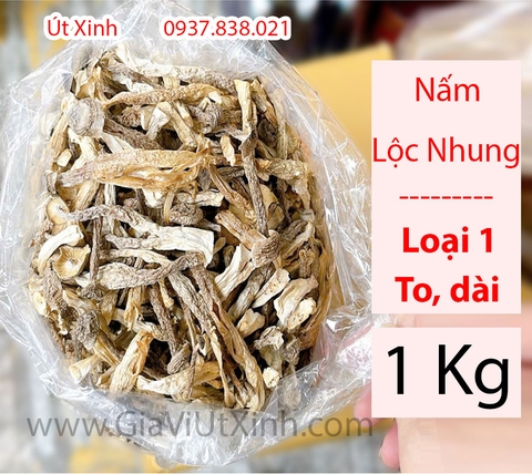 NẤM LỘC NHUNG KHÔ (NẤM NHUNG HƯƠU) 200G - 500G - 1KG - DEER ANTLER MUSHROOM DRIED