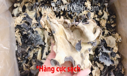 NẤM MÈO ĐEN (MỘC NHĨ KHÔ) 50G - 100G - 200G WOOD-EAR MUSHROOM - TREE EAR
