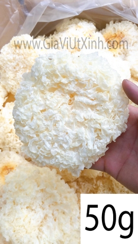 NẤM TUYẾT KHÔ 50G - 100G - NGÂN NHĨ - SNOW FUNGUS