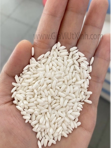 GẠO NẾP DẺO 1KG - NẾP NGỖNG DẺO - GLUTINOUS RICE