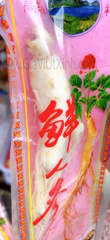 NHÂN SÂM TƯƠI NÚI TRƯỜNG BẠCH HONG KONG 110G 1 CỦ - HONG KONG FRESH GINSENG