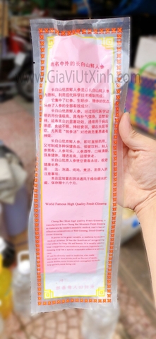 NHÂN SÂM TƯƠI NÚI TRƯỜNG BẠCH HONG KONG 110G 1 CỦ - HONG KONG FRESH GINSENG