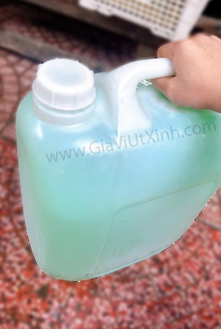 NƯỚC LAU SÀN HƯƠNG CHANH SẢ 30 LÍT - LEMONGRASS-SCENTED FLOOR CLEANER - NƯỚC LAU SÀN CAN TO