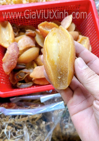 ỐC GIÁC KHÔ 1KG - INDIAN VOLUTE