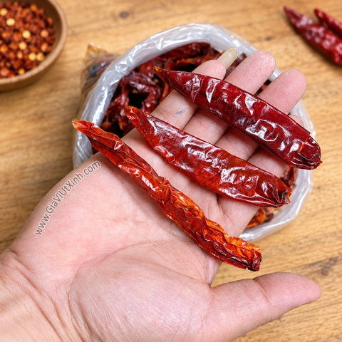 ỚT SỪNG KHÔ NGUYÊN TRÁI 1KG – ỚT ĐỎ KHÔ LÀM SA TẾ, DẦU ỚT – DRIED RED HORN CHILIES