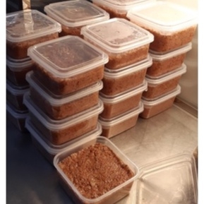 PATE GAN DẠNG KÝ LOẠI 1