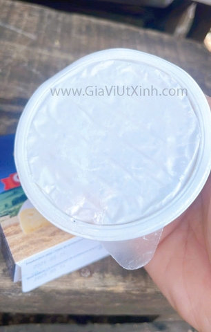 PHÔ MAI CAMEMBERT GRAND'OR 125G - GRAND'OR CAMEMBERT CHEESE - PHÔ MAI HÀ LAN