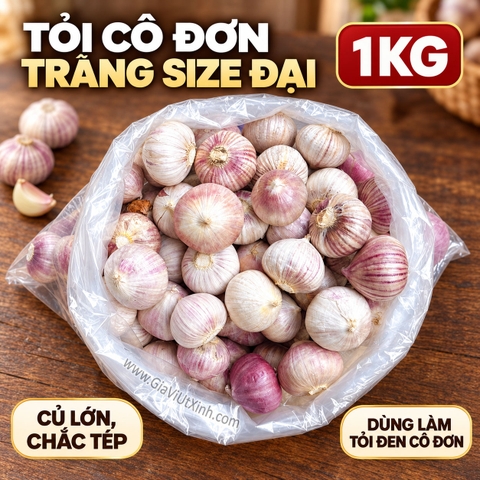 TỎI CÔ ĐƠN TRẮNG SIZE ĐẠI 1KG – TỎI 1 TÉP TƯƠI NGUYÊN CỦ LÀM TỎI ĐEN