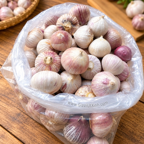 TỎI CÔ ĐƠN TRẮNG SIZE ĐẠI 1KG – TỎI 1 TÉP TƯƠI NGUYÊN CỦ LÀM TỎI ĐEN