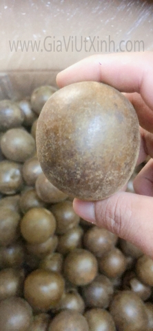 TRÁI LA HÁN QUẢ LOẠI ĐẶC BIỆT - MONKFRUIT