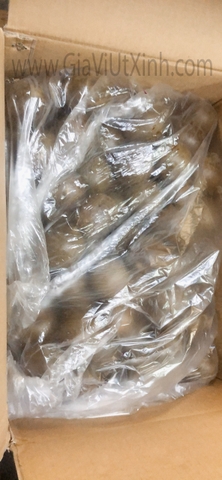 TRÁI LA HÁN QUẢ LOẠI ĐẶC BIỆT - MONKFRUIT