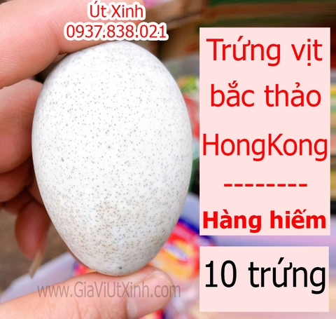 TRỨNG VỊT BẮC THẢO HONG KONG 10 TRỨNG - CENTURY EGG