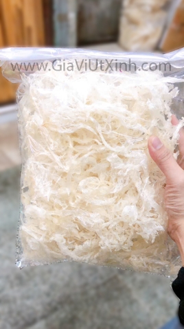 VI CÁ MẬP CẮT SỢI TO 1KG - SHARK FIN - VI SỢI