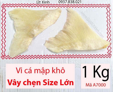 VI CÁ MẬP KHÔ (VÂY CHẸN SIZE LỚN) 500G – 1KG – MÃ A7000