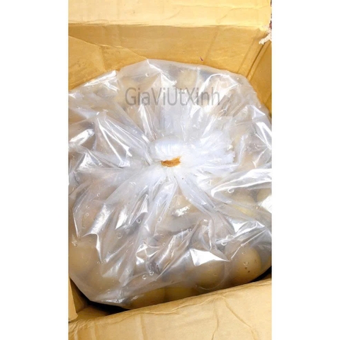 CHANH MUỐI HONG KONG 1KG - HONG KONG PRESERVED LEMON