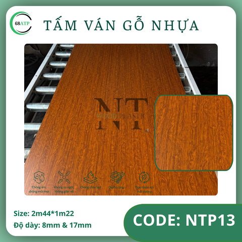 NTP-13