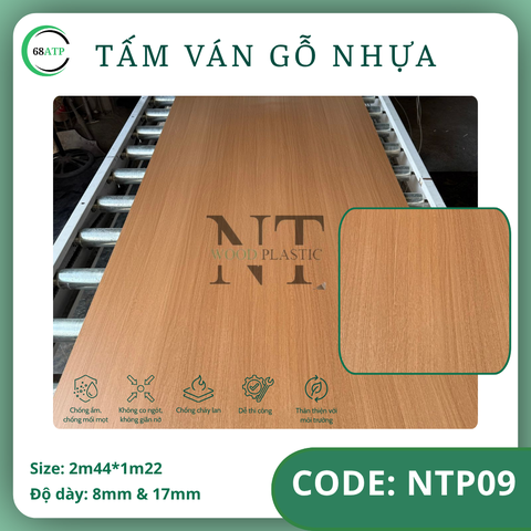 NTP-09