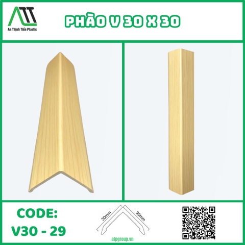 V30-29