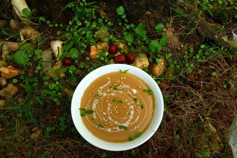 XÚP HẠT DẺ