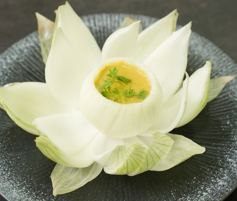 XÚP HÀNH TÂY ĐẬU HÀ LAN