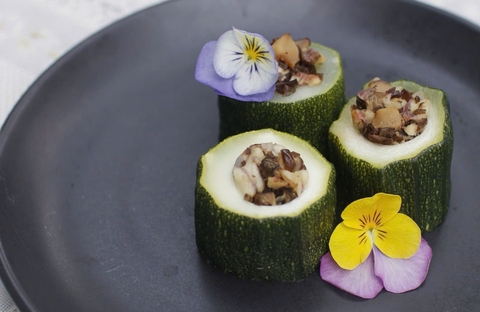 BÍ NGÒI NHỒI TEMPEH