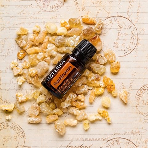 TINH DẦU NHŨ HƯƠNG DOTERRA - 15ML