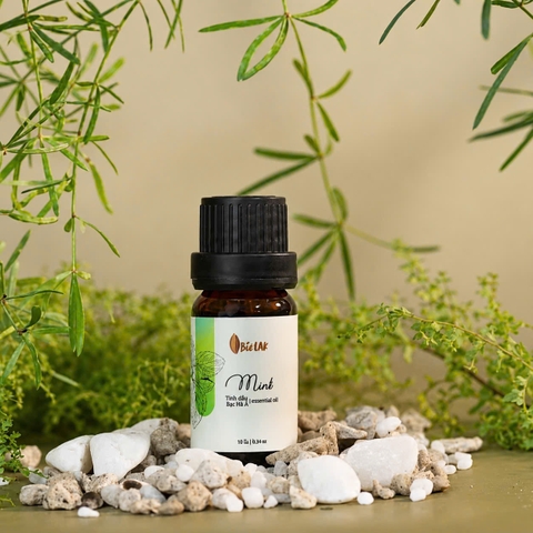 TINH DẦU BẠC HÀ NGUYÊN CHẤT BIOLAK – 10ML
