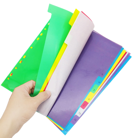 Bìa nhựa ngăn hồ sơ 12 tờ Plus