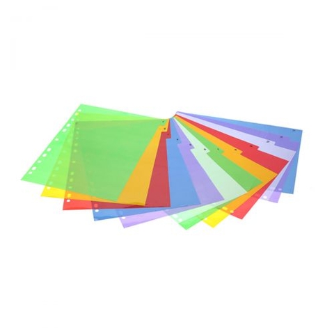 Bìa nhựa ngăn hồ sơ 12 tờ Plus