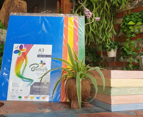 Bìa Mỹ Khổ A3 ĐL 230gsm Xấp 100 Tờ Đủ Màu – Giấy bìa cao cấp cho in ấn và mỹ thuật
