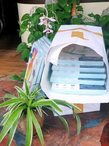 Decal Đế Xanh, Decal Đế Vàng Khổ A4 ĐL 170gsm Xấp/100 tờ – Giấy decal in tem nhãn chất lượng