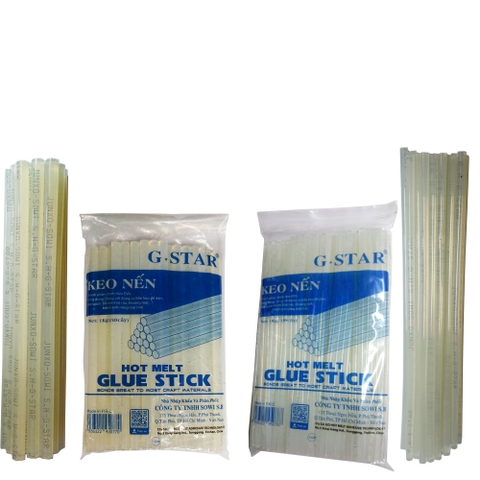 Cây keo trong nhỏ Gstar (B/100)