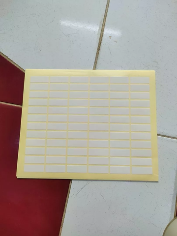 Nhãn Tomy (99-124) đồng giá