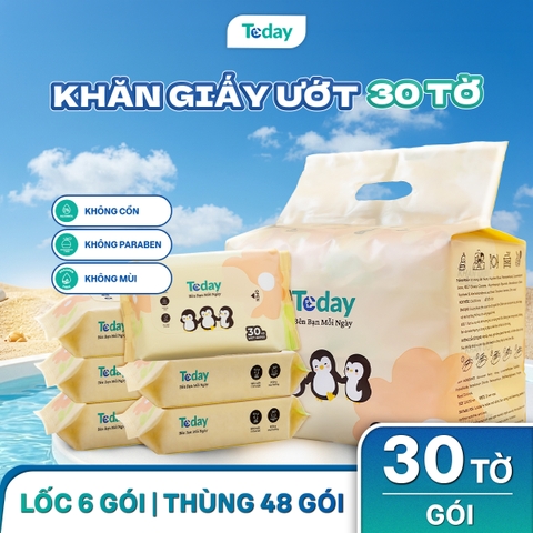 [Gói 30 Tờ] Khăn Ướt Mini TODAY