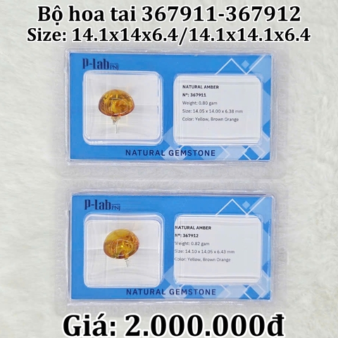 Đôi Hoa Tai Hổ Phách